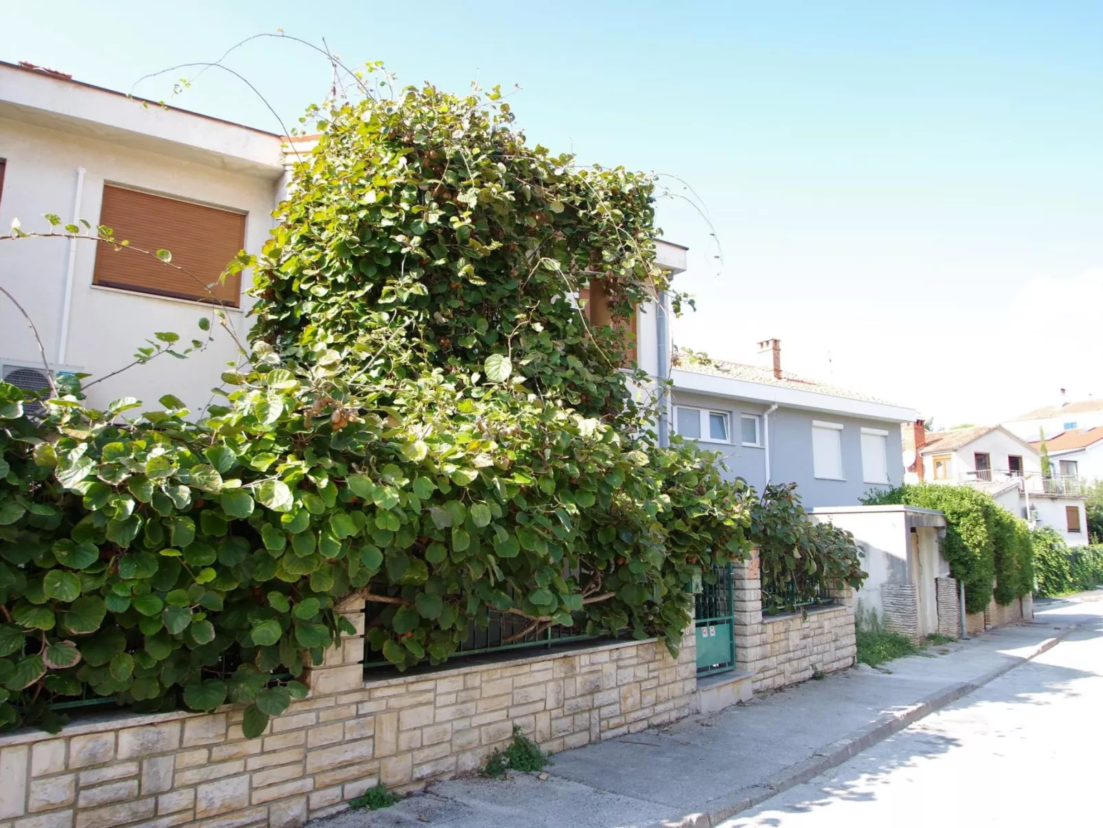 "Gortanova" mit privatem Balkon-Image-tags.info