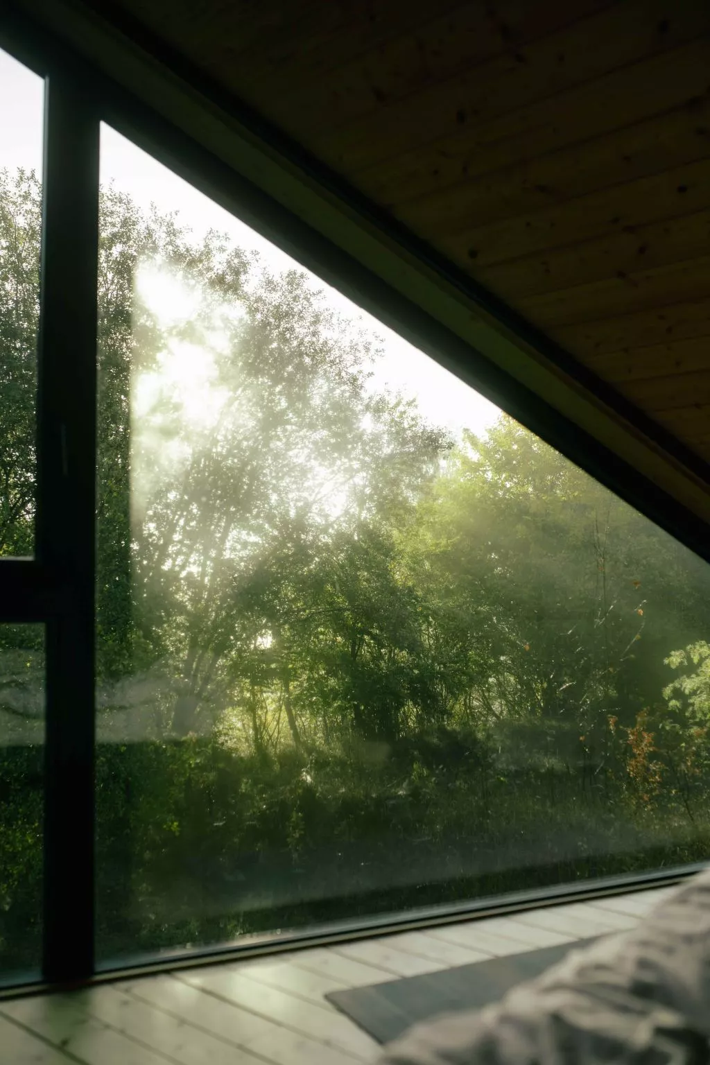 (IX) Cabin Cozy-Buiten