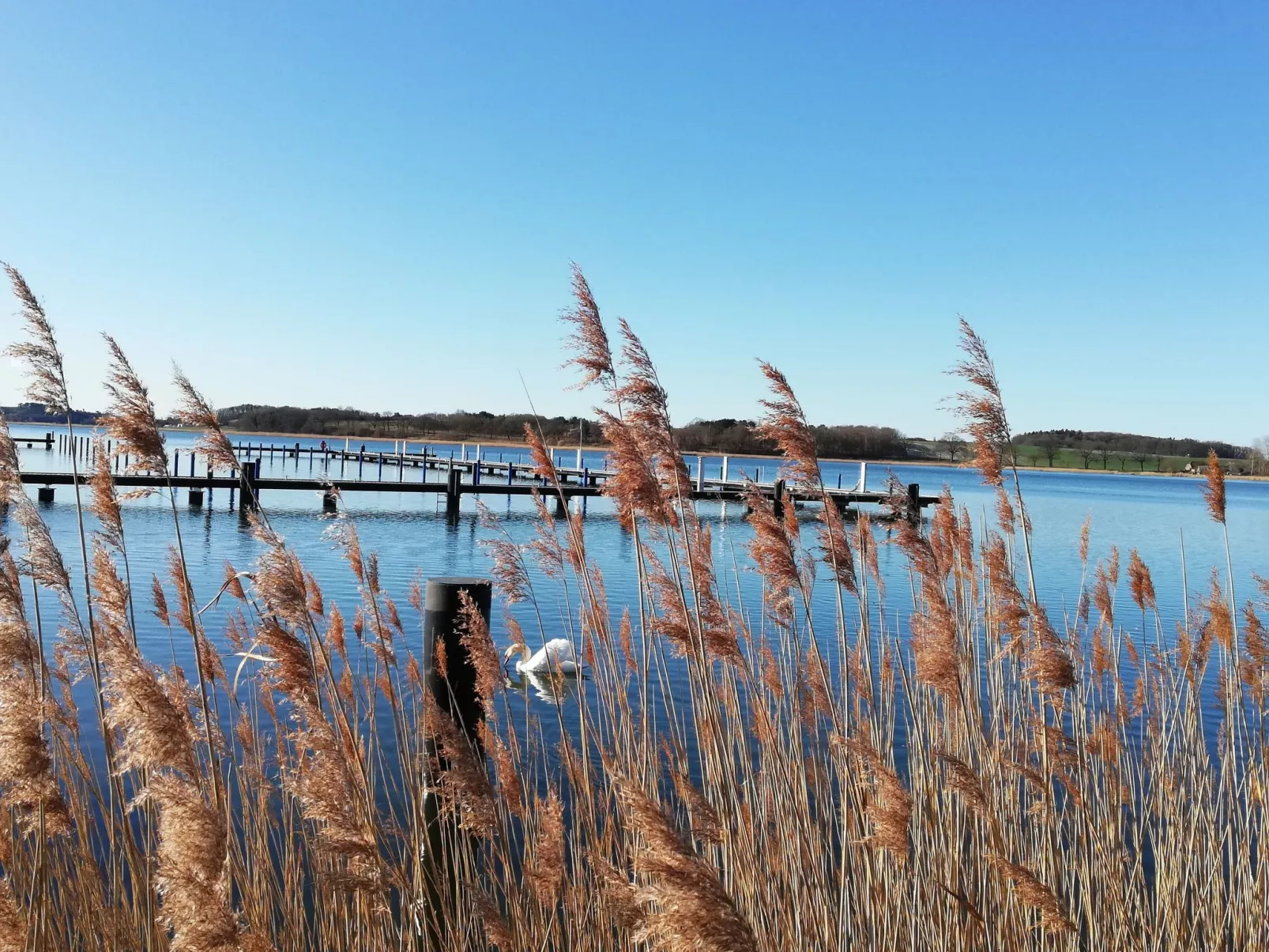 Maisonette-Wohnung direkt am Selliner See-Image-tags.info