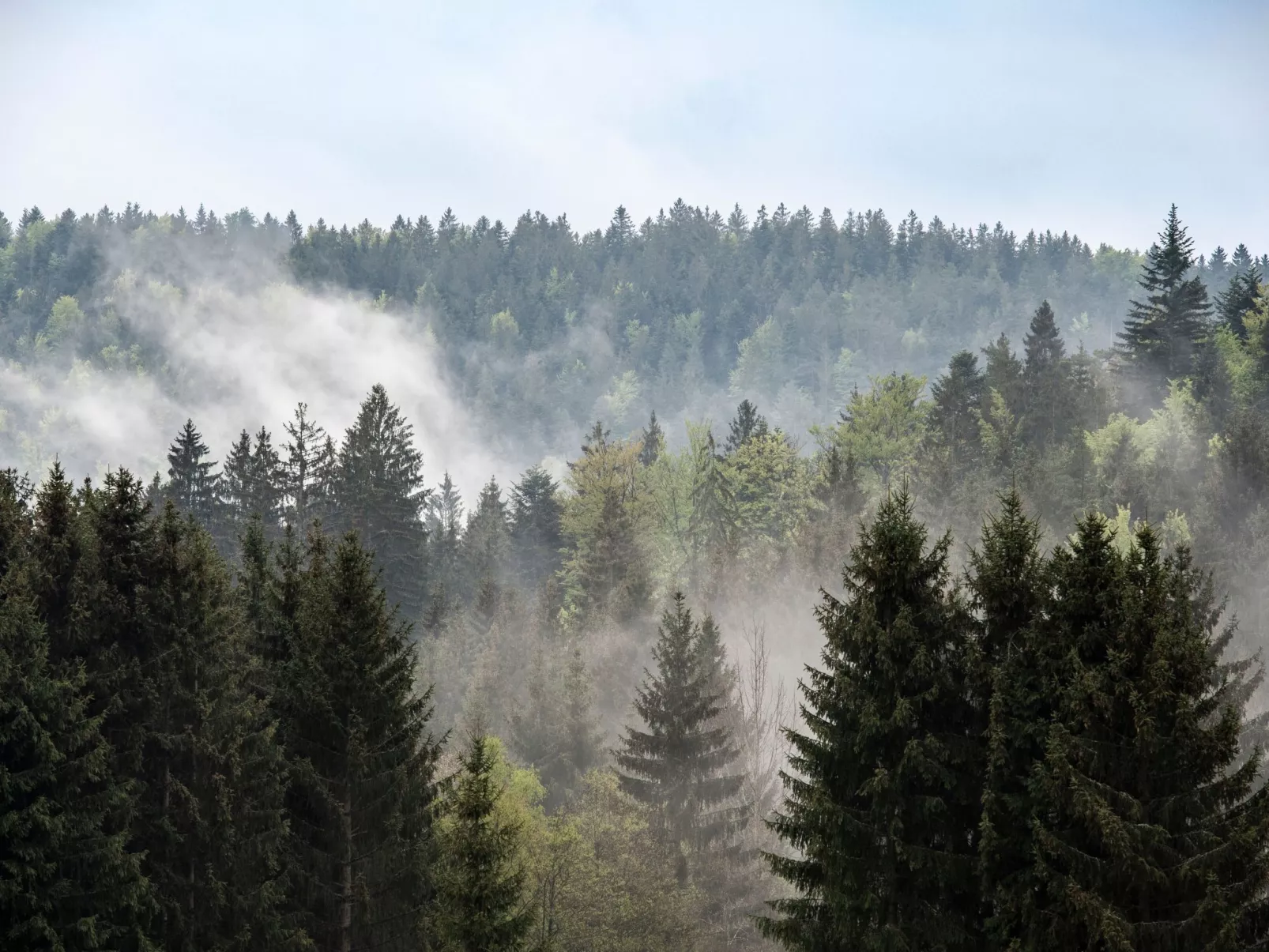 Exklusive Ferienwohnung mit eigener Sauna-Buiten