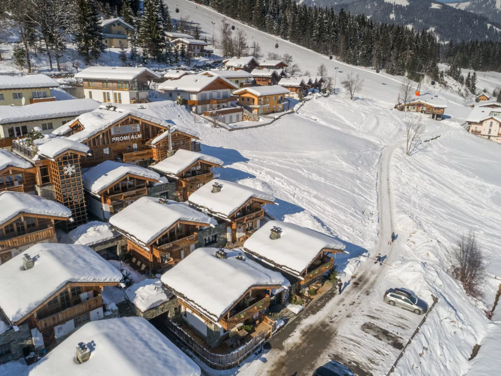 Chalet Promi-Alm in Flachau-Buiten