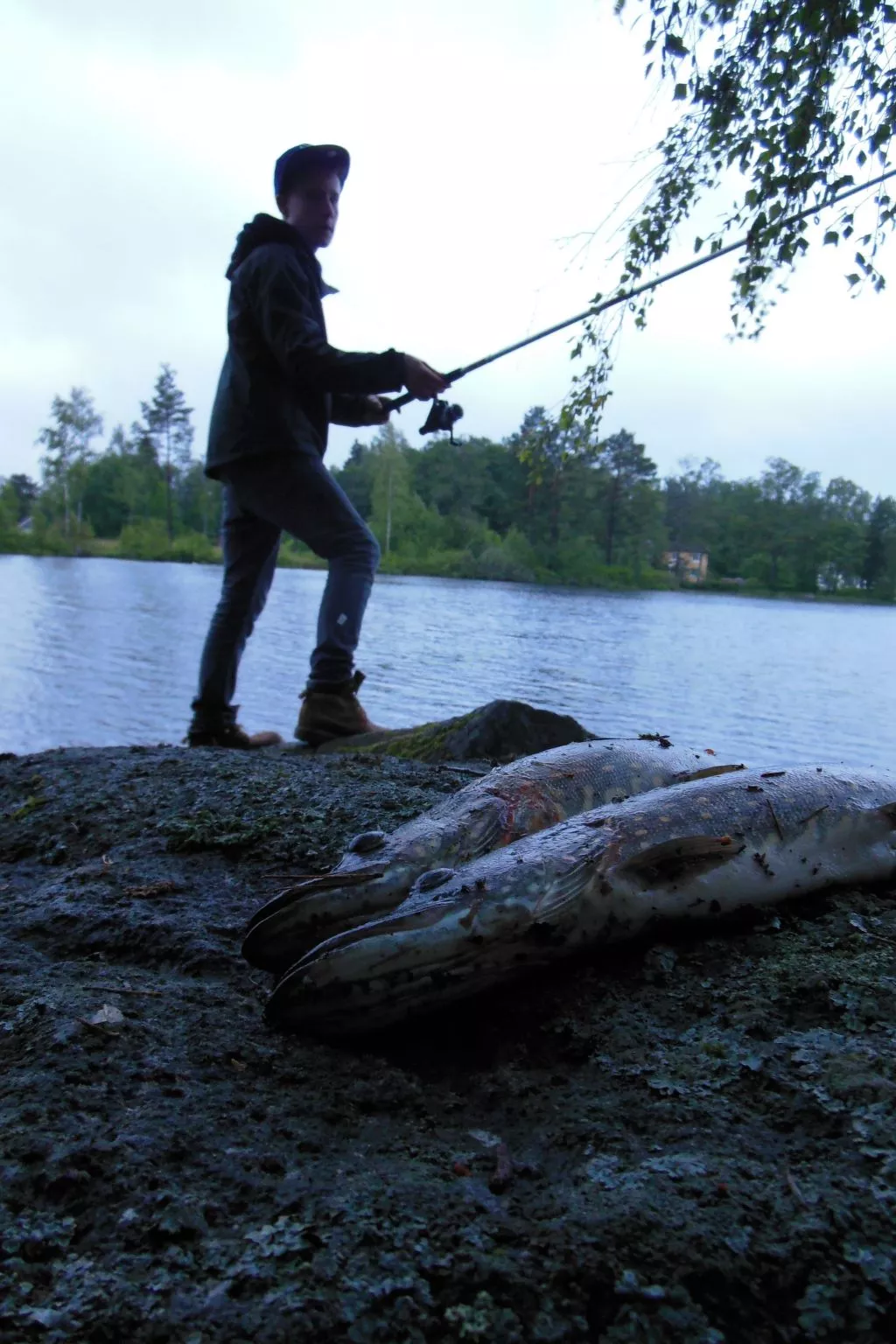 Villa Bullerbü-Buiten