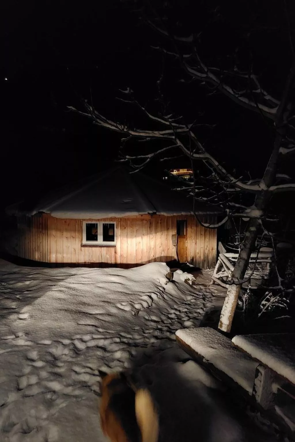 Einzigartige Holzhütte mit Bergpanorama-Buiten