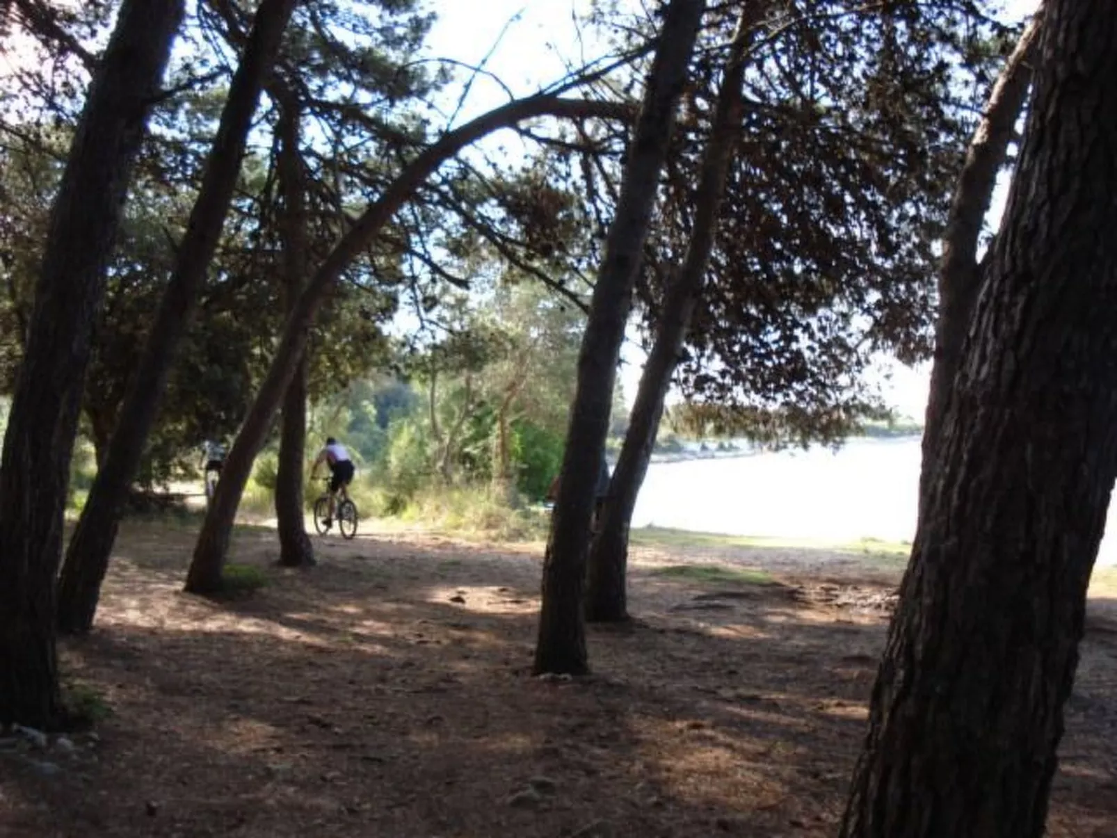 "Dantin" mit Blick auf das Wasser-Buiten