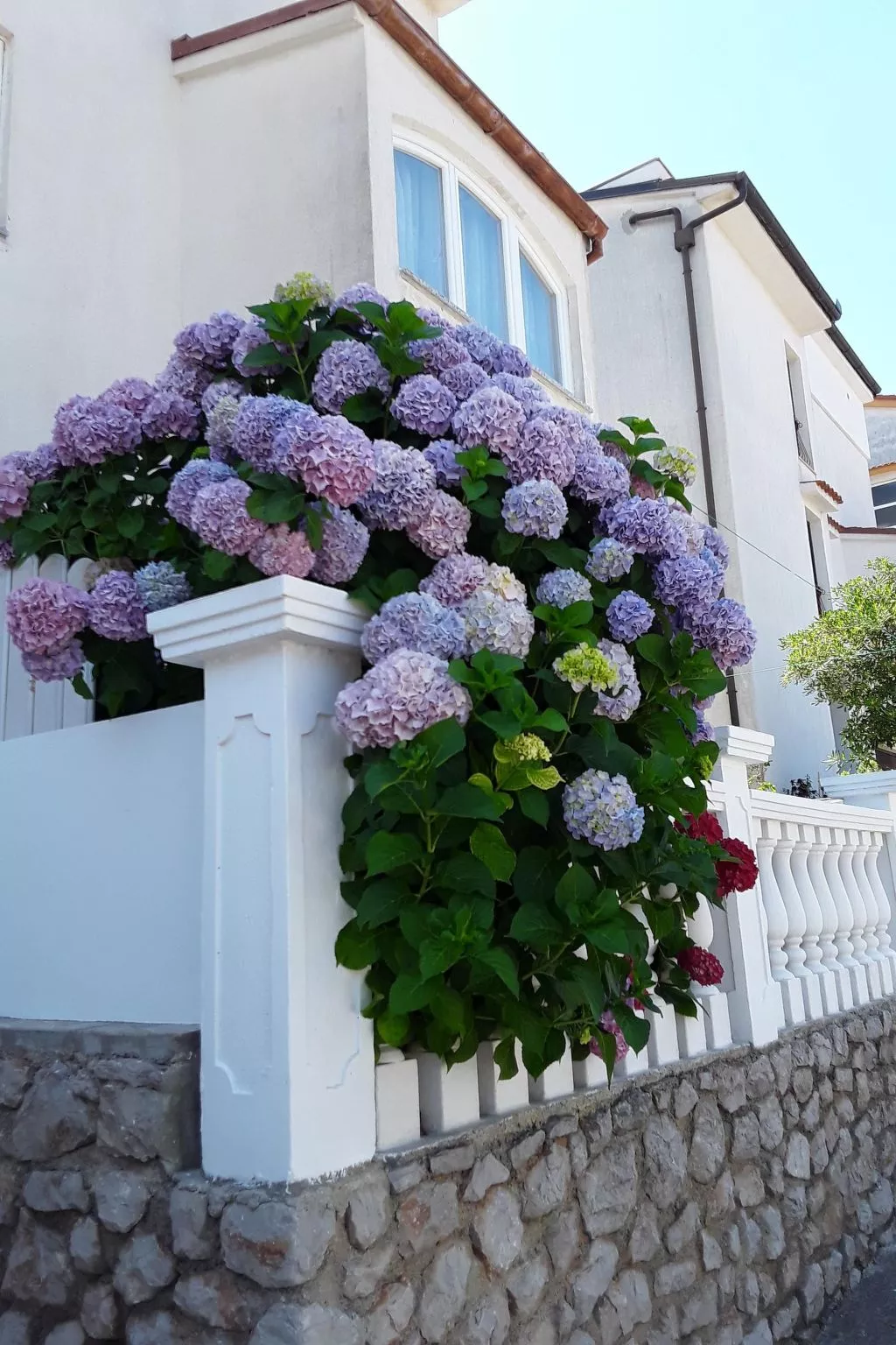 Tolles Appartement Meri 3 mit Grill und Garten-Image-tags.info