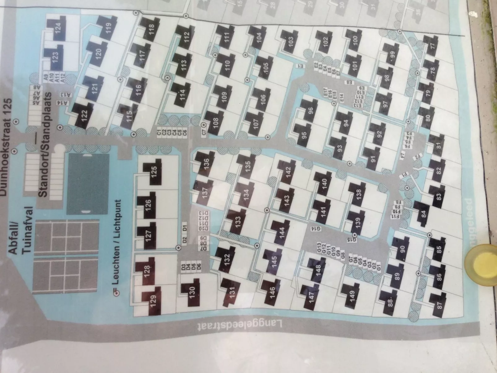 Zonneweelde bei Dünen und Wald-Image-tags.info