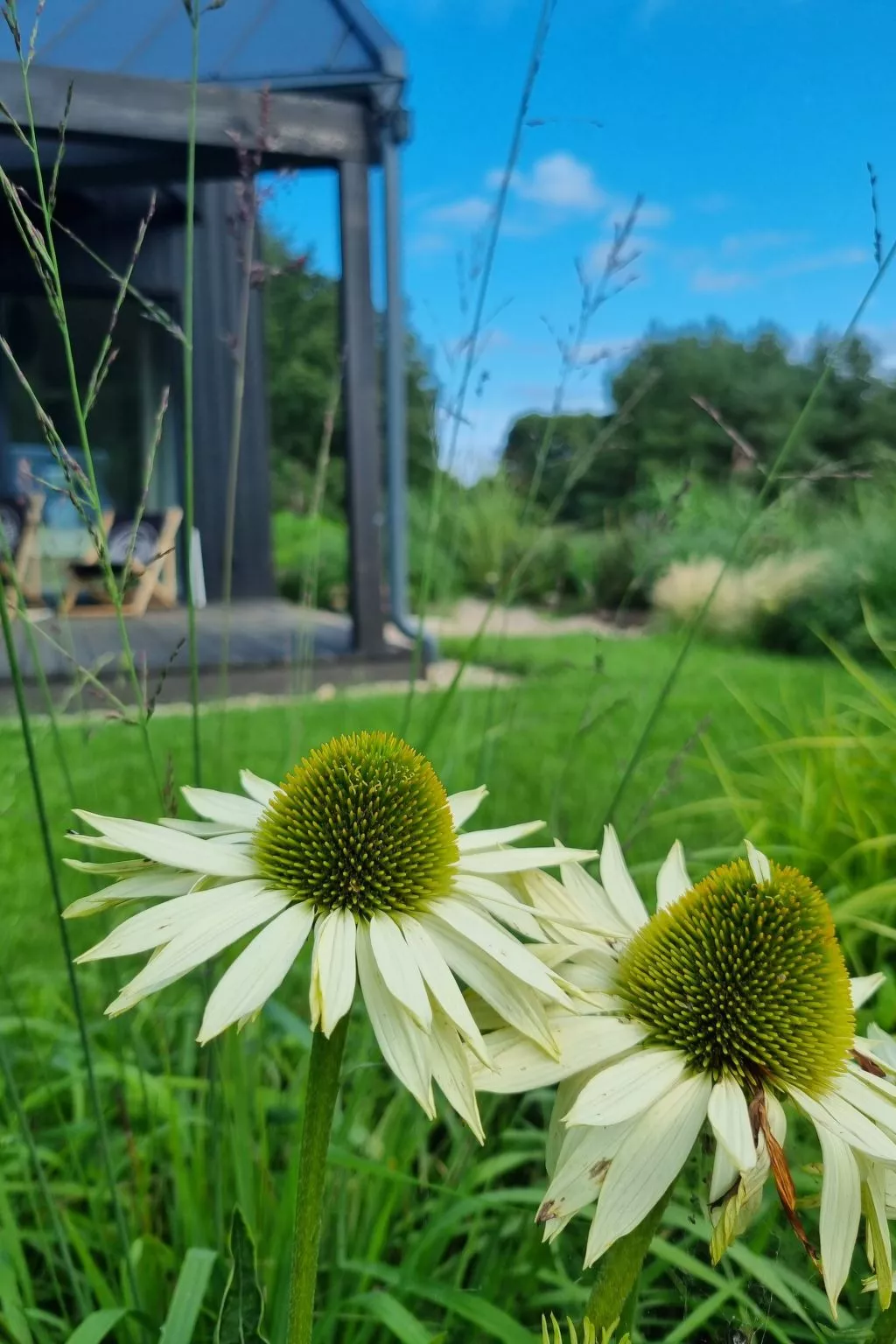 Lublewo21 Ferienhäuser - Buiten