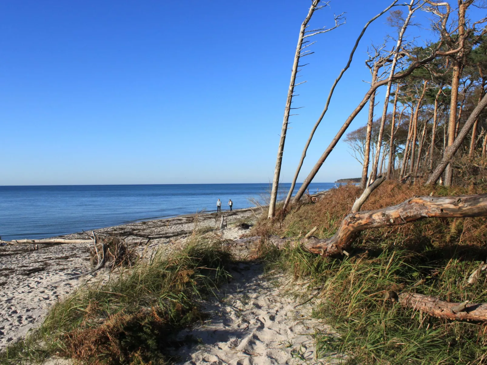 Admiral's Corner Luv-Image-tags.info