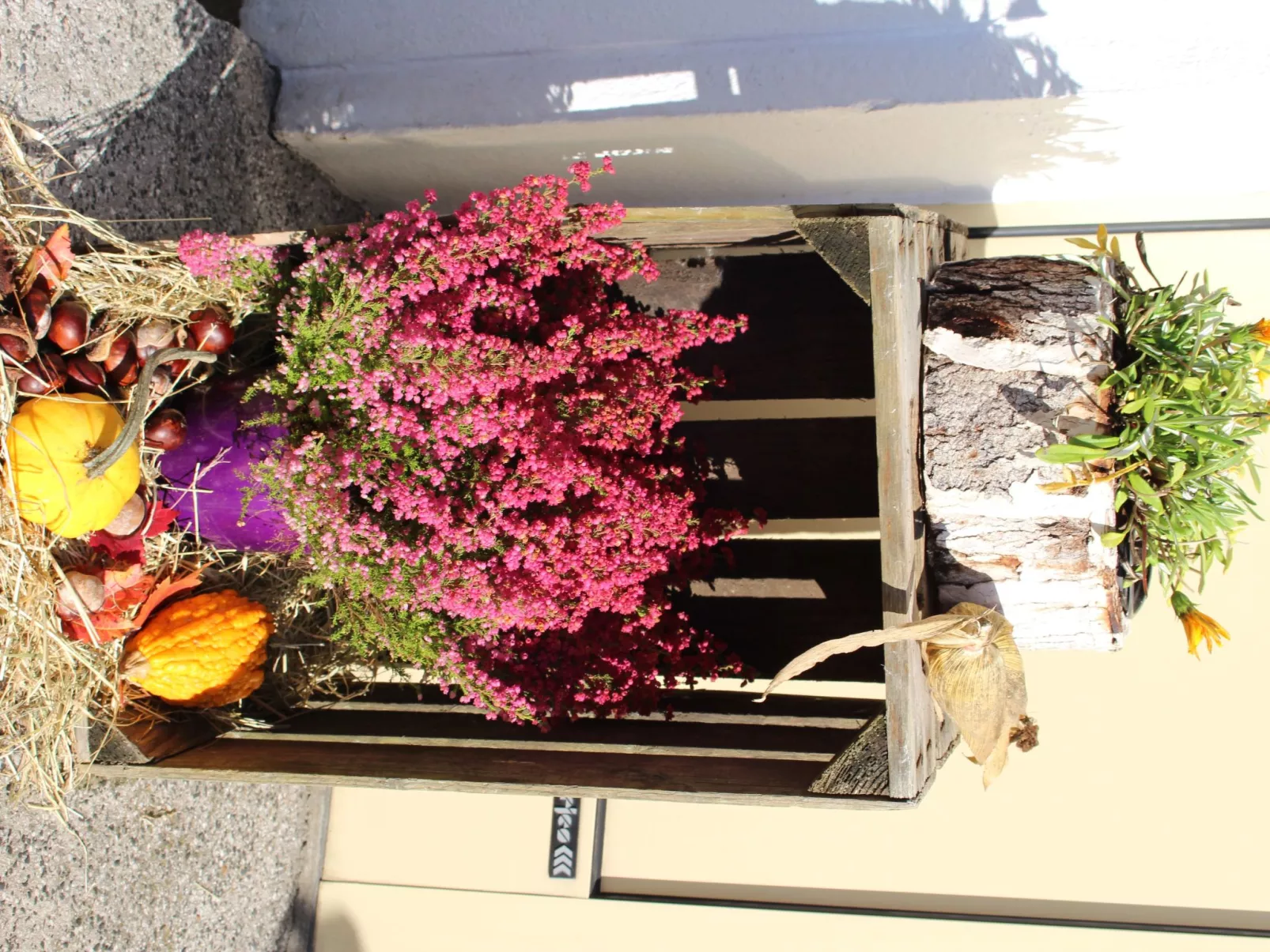 Kleine Auszeit-Buiten