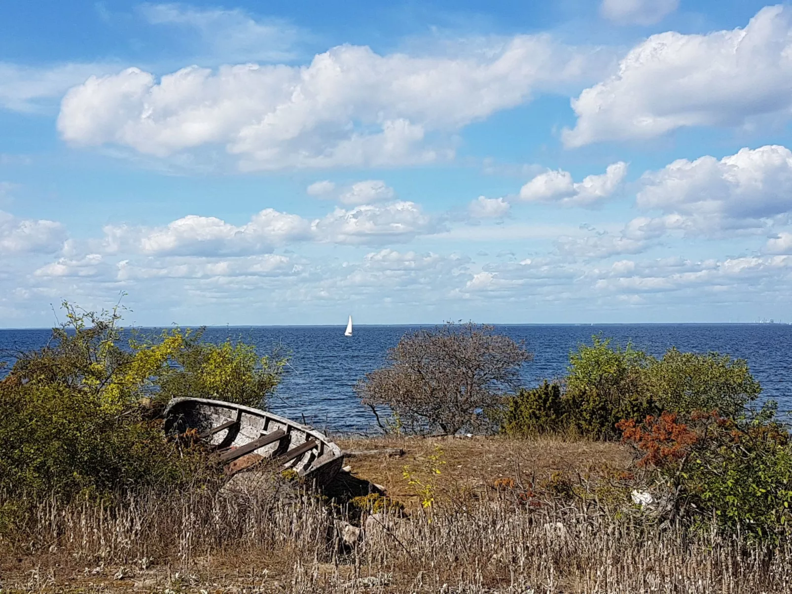 Sjötorpet - einzigartige Unterkunft am Meer-Image-tags.info
