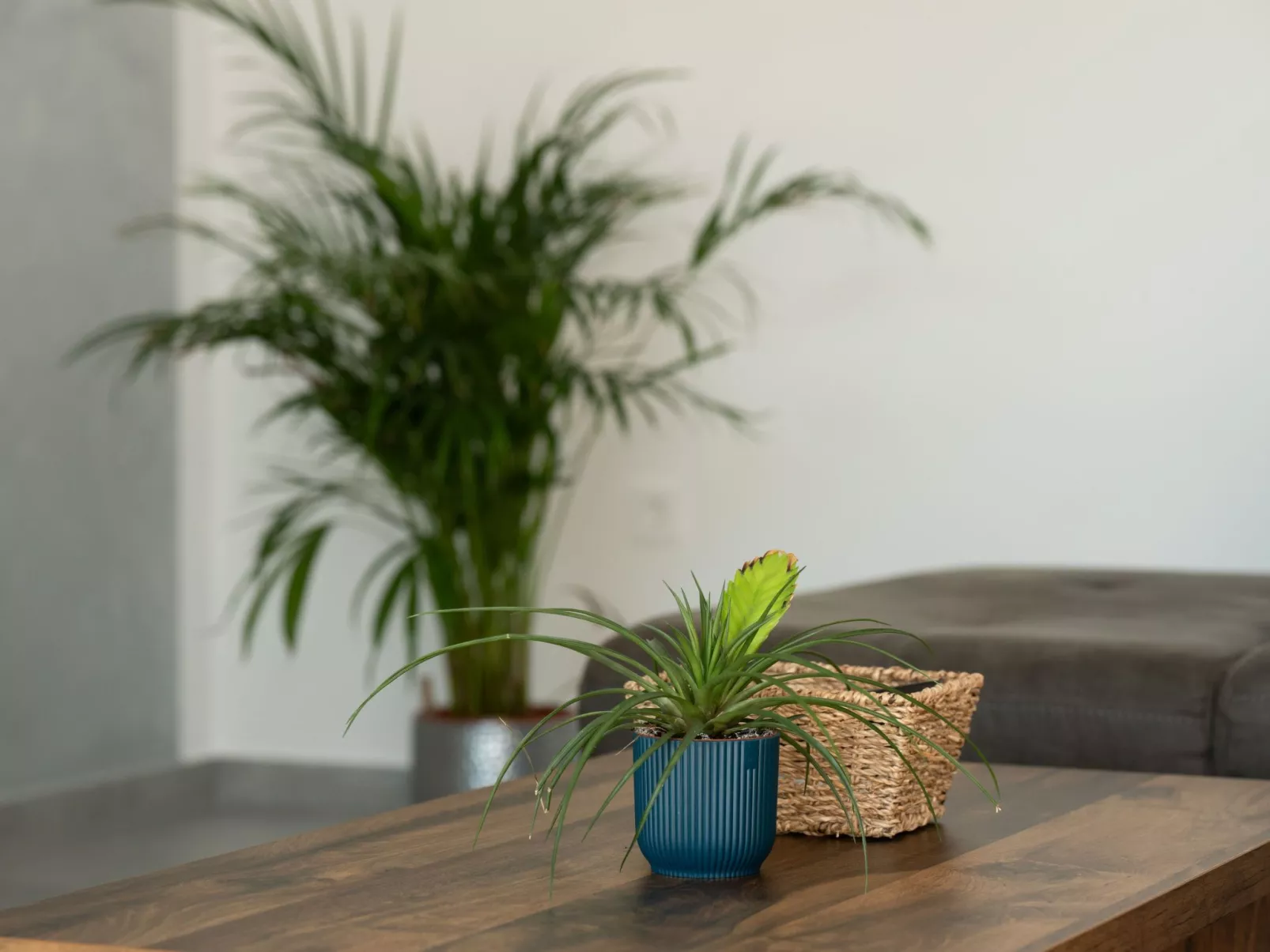 Moderne Villa bei Barban-Binnen