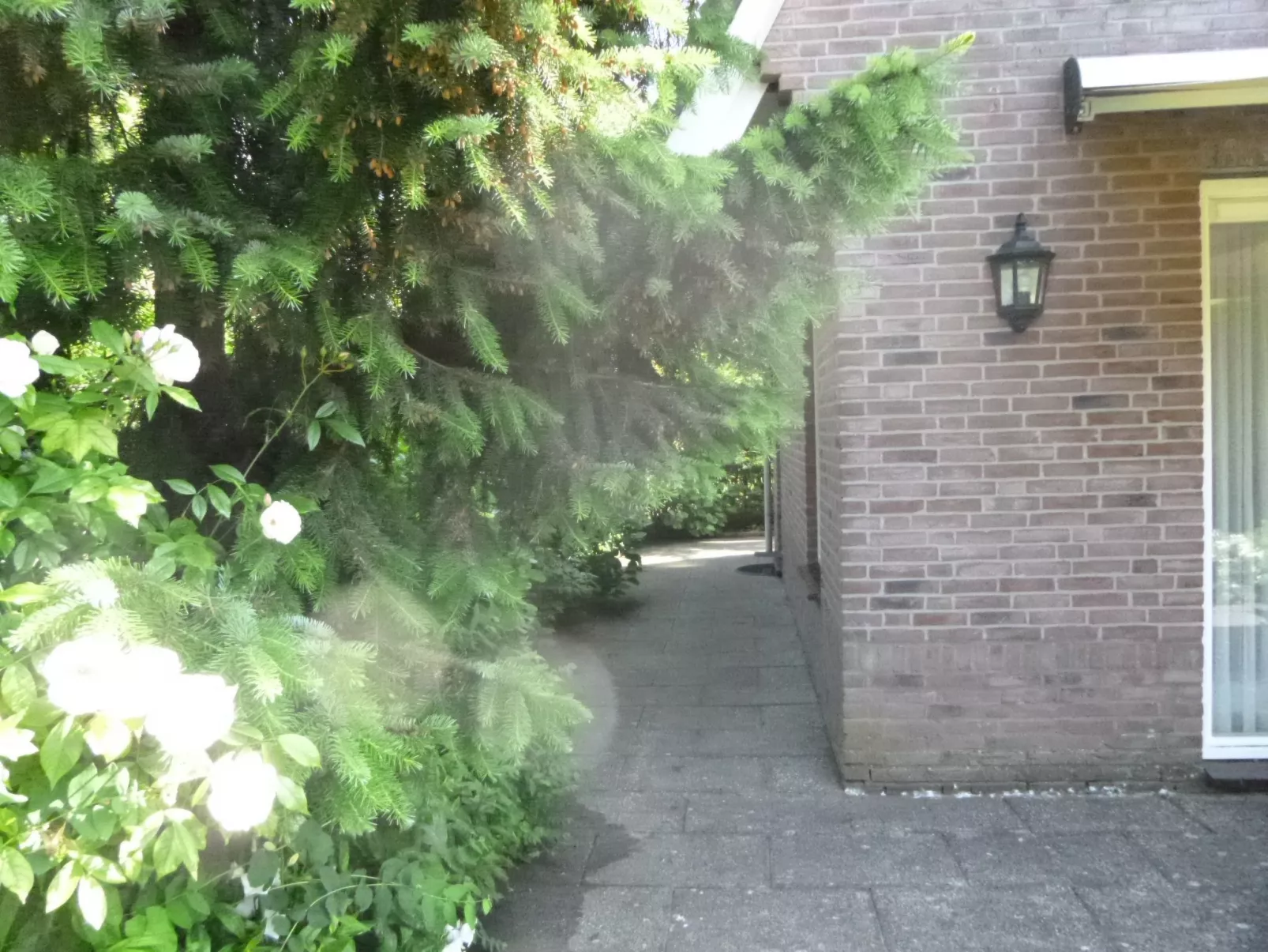 Mit privatem Garten und Terrasse-Image-tags.info