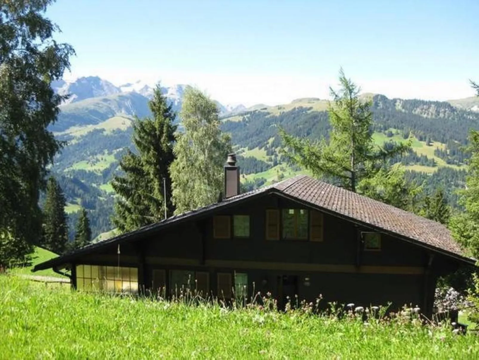 Datscha-Image-tags.info