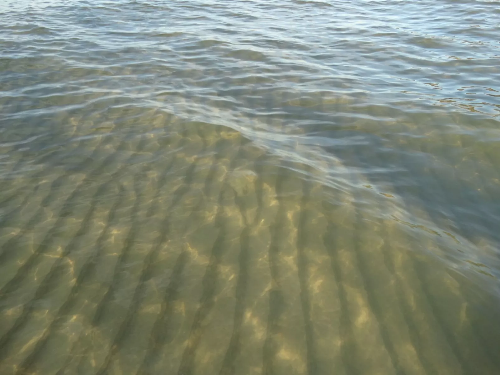 Holzhaus Juhas-Image-tags.info