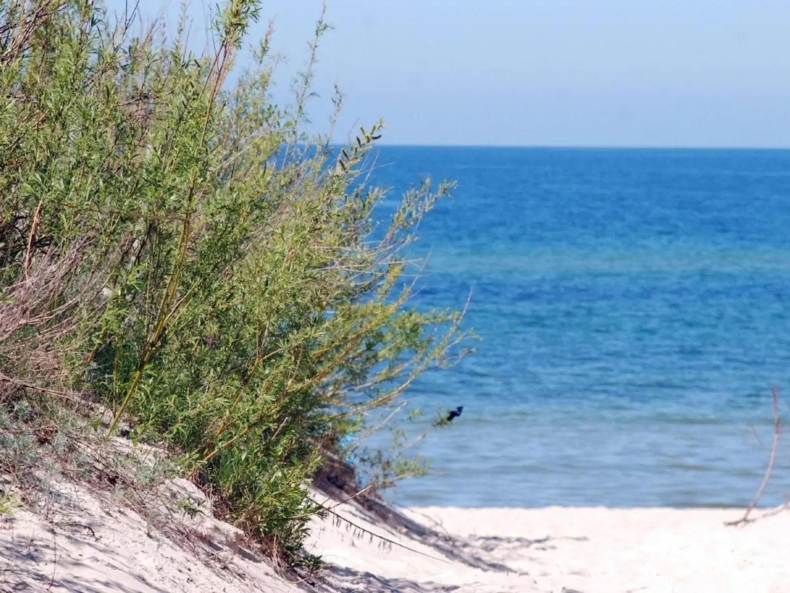 Stilvolles Haus ganz nah am Meer-Buiten