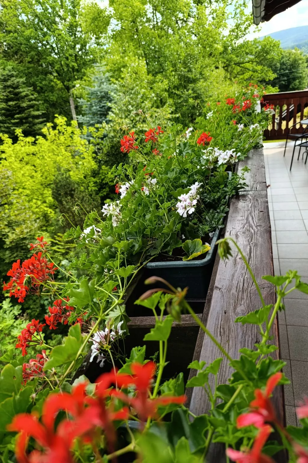 Wohnung Nr. 1-Buiten