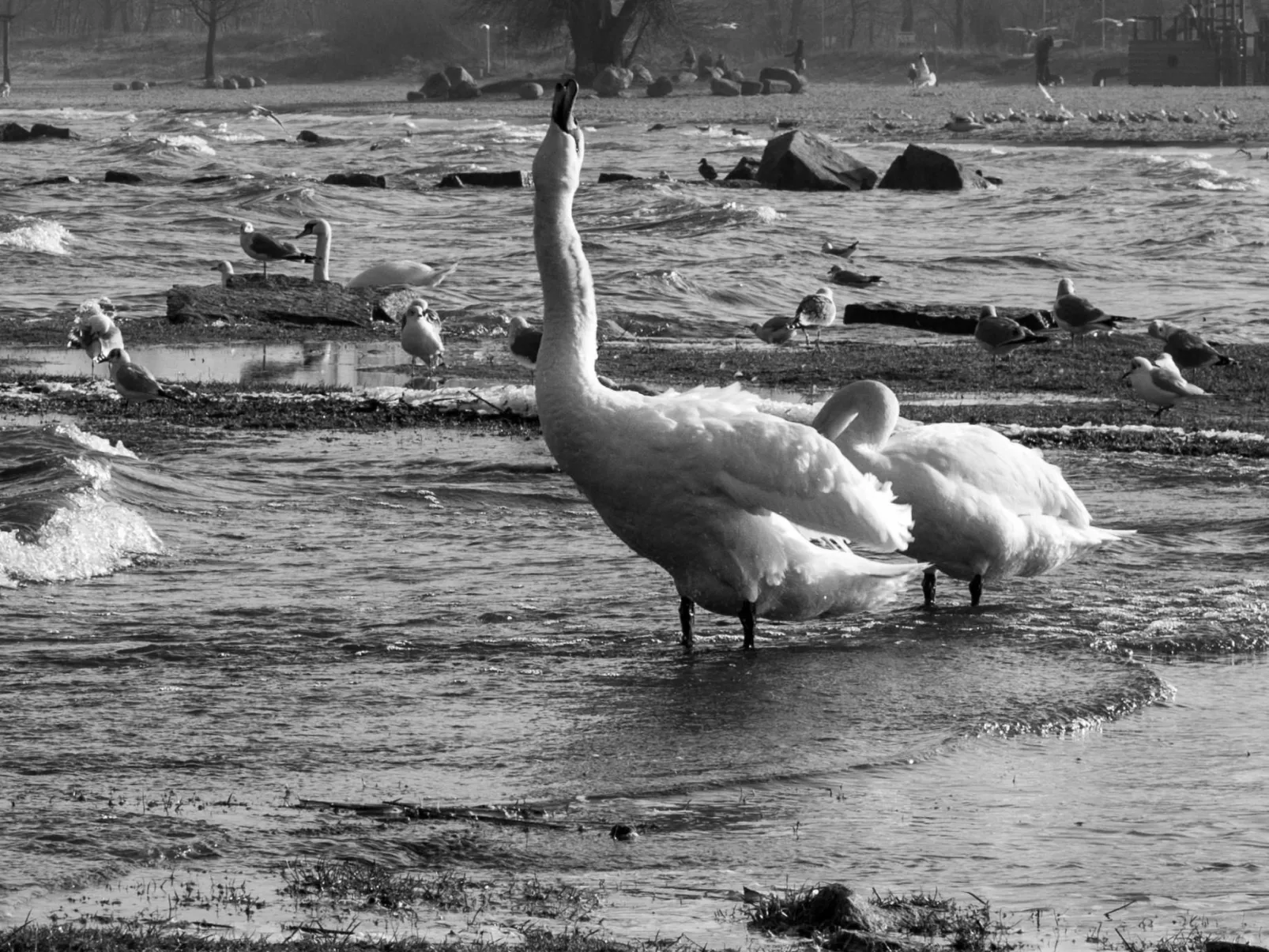 Am Apothekerberg-Image-tags.info