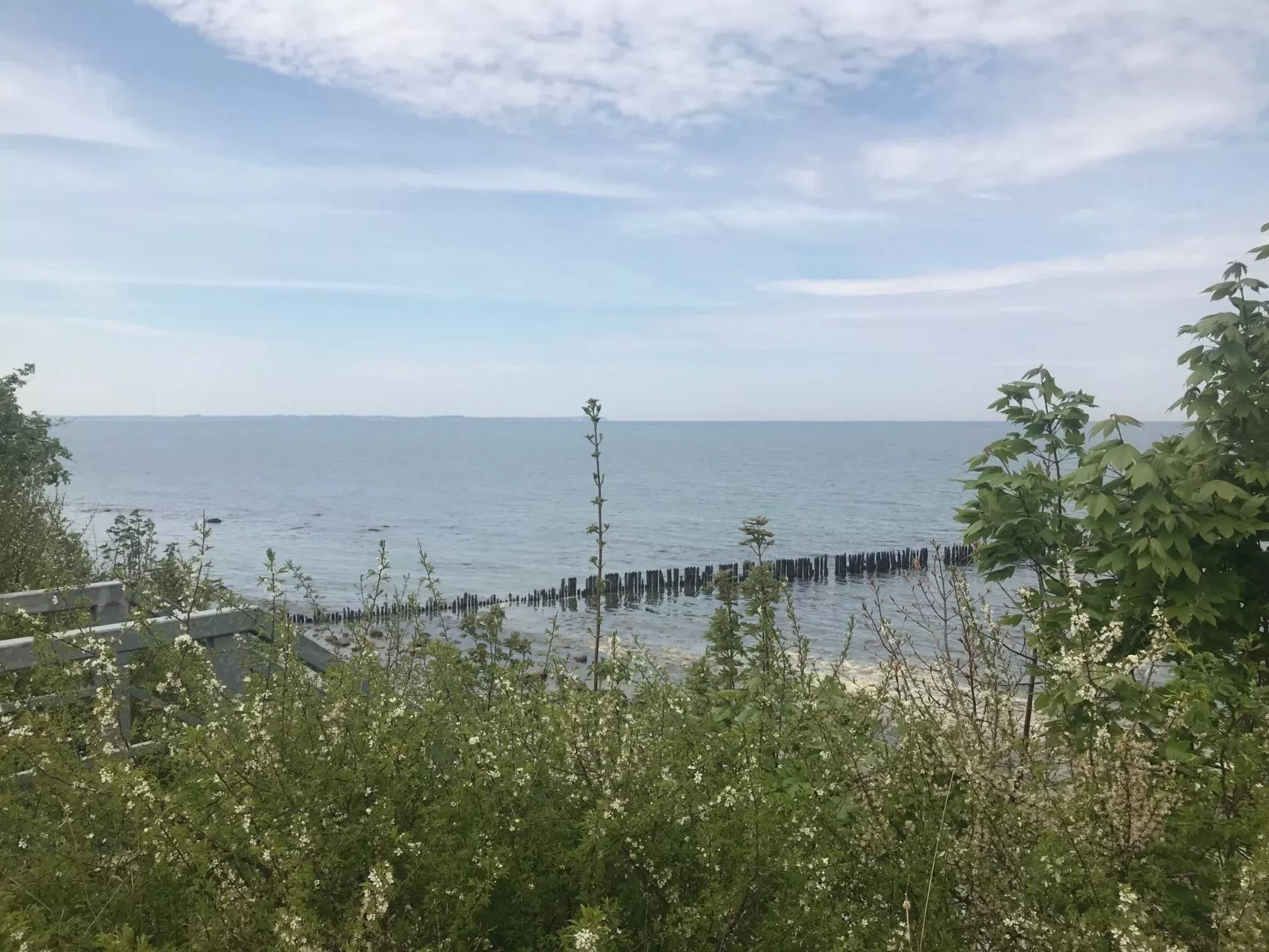 Reethaus Vera am Meer mit Sauna und Kamin-Buiten