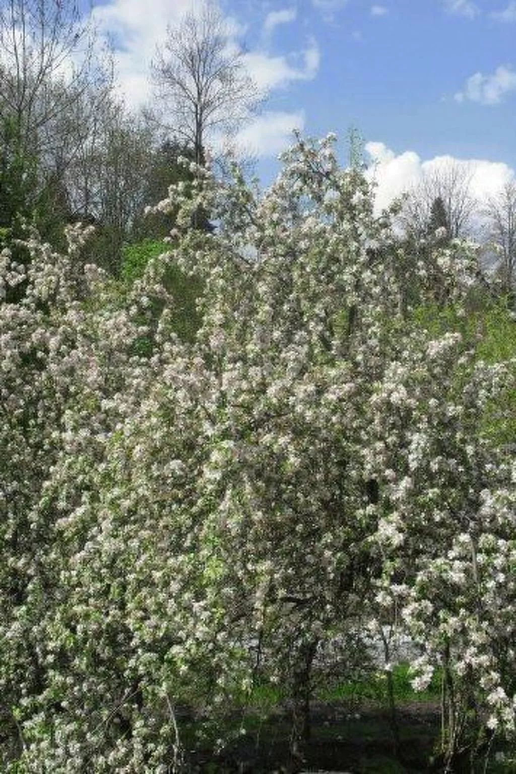 Sonnenbichl Wh 102-Buiten