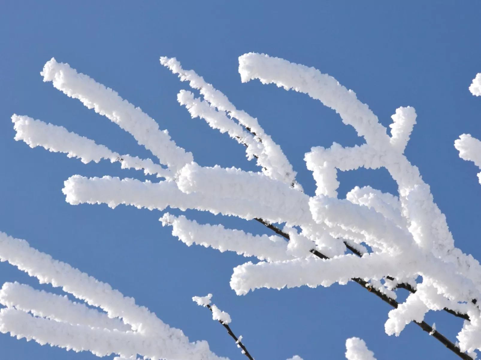 Wohnung in Hohegeiß mit Grill und Garten-Buiten