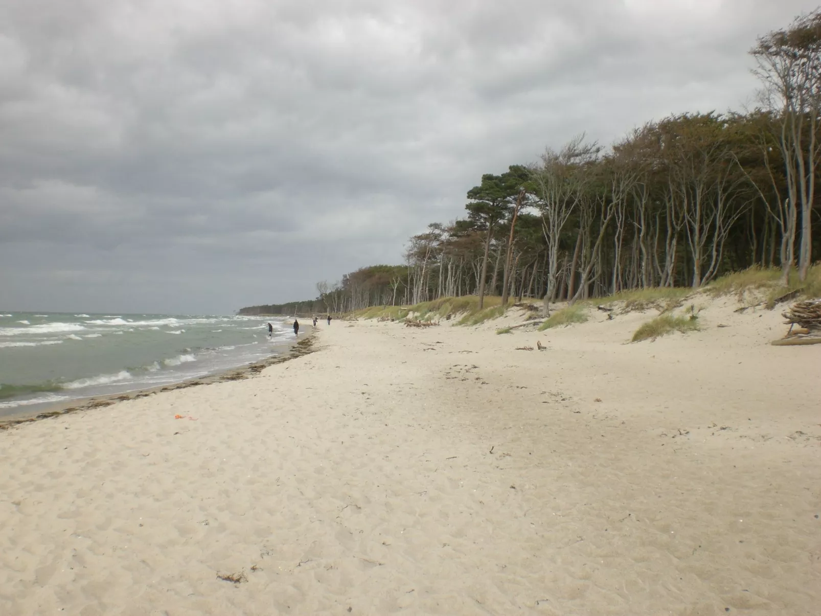 Appartement Achtern-Diek-am-Strand in Zingst-Buiten