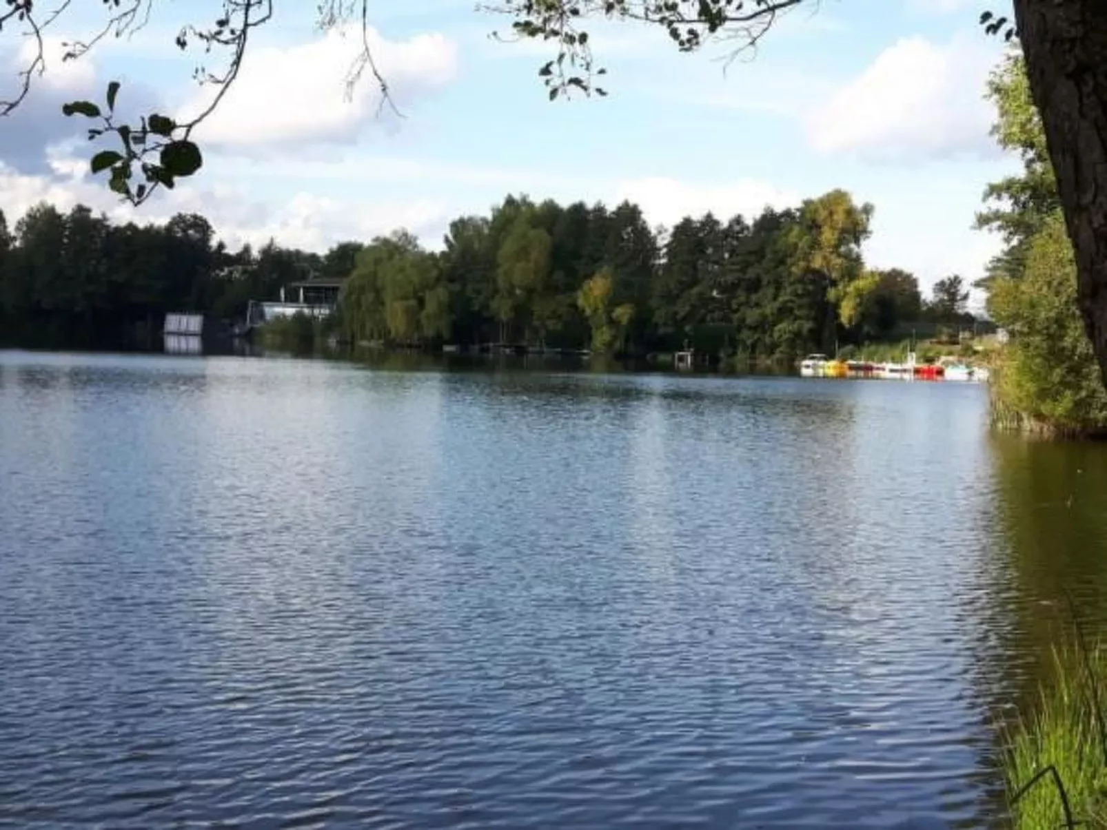 Haus Wellness - Image-tags.info