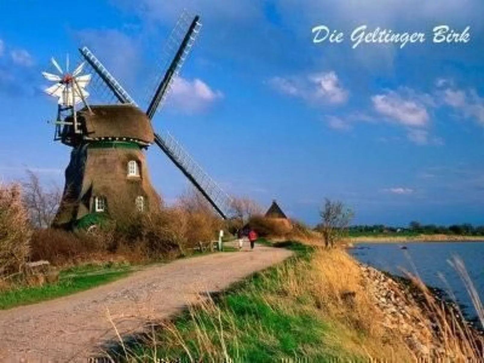 Sabricke-Image-tags.info