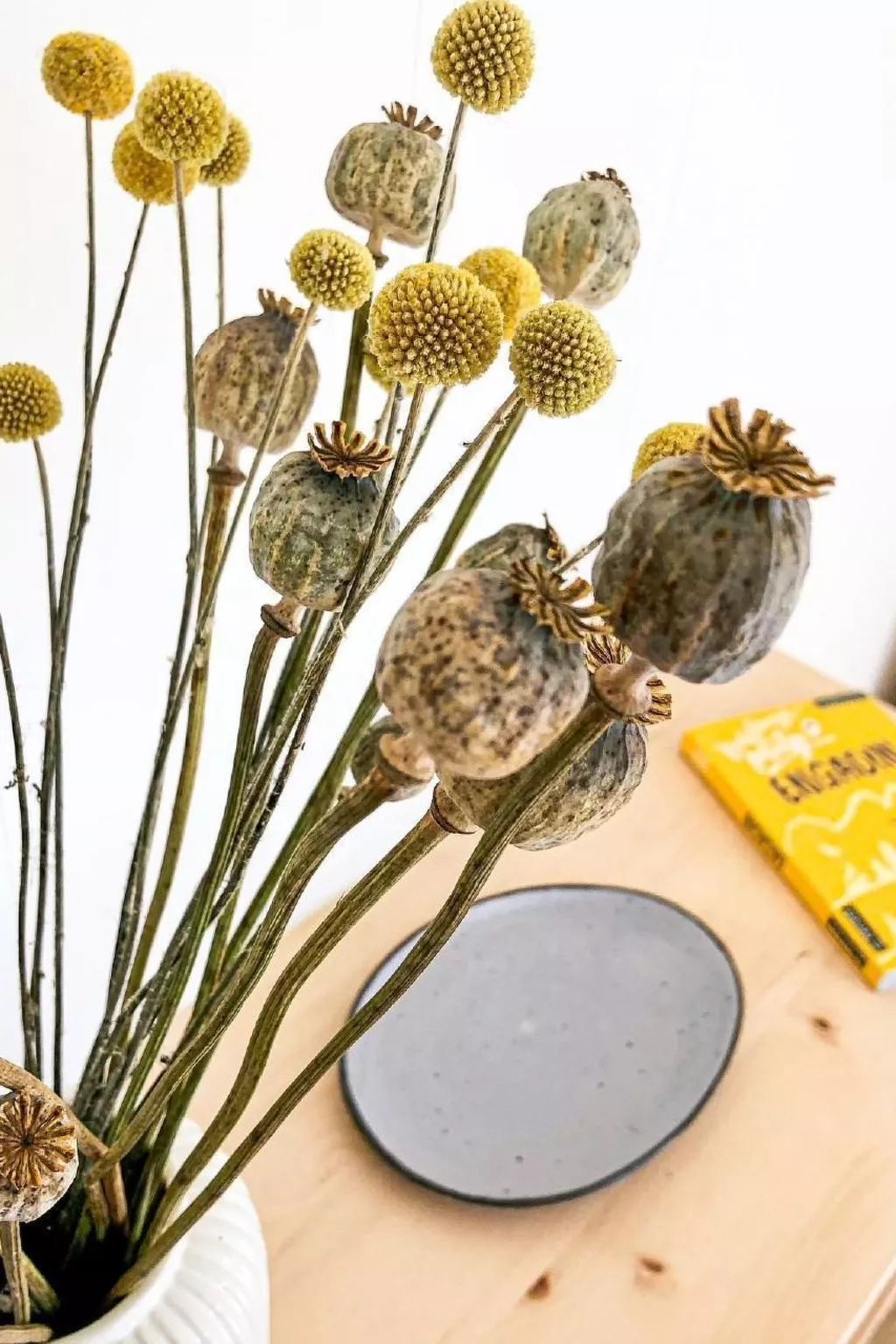 Villa Fried, Natüra - Binnen