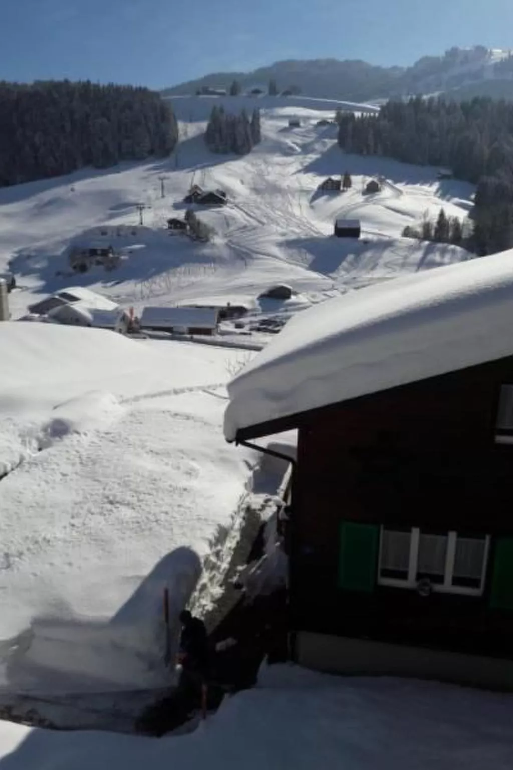 Studio Friedegg-Image-tags.info