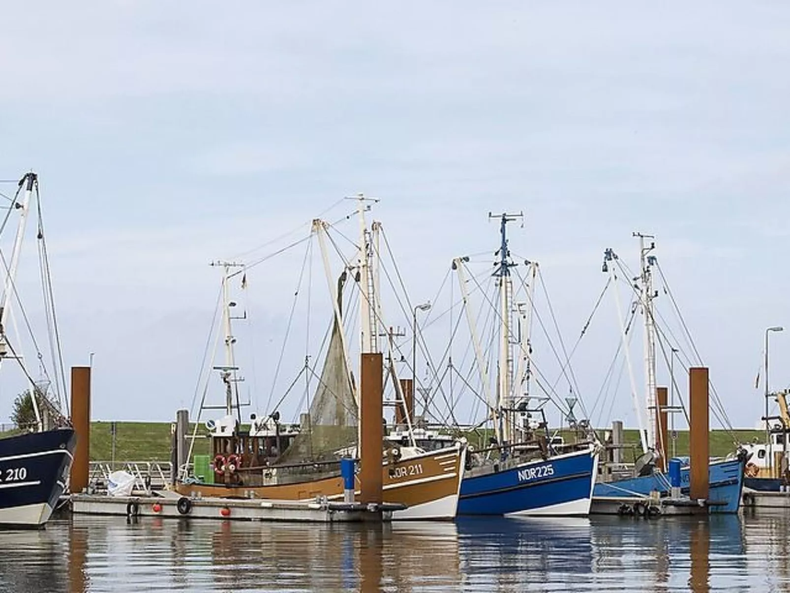 Wohnung in Norddeich direkt am Strand-Buiten