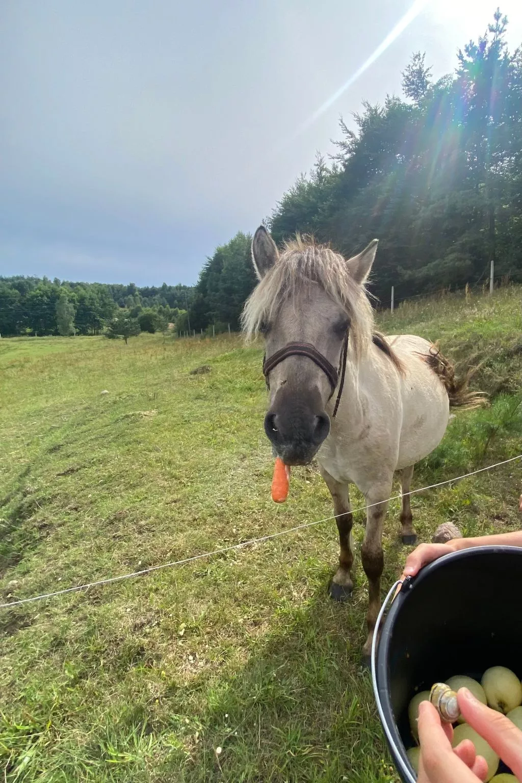 Alte Dorfschule-Image-tags.info