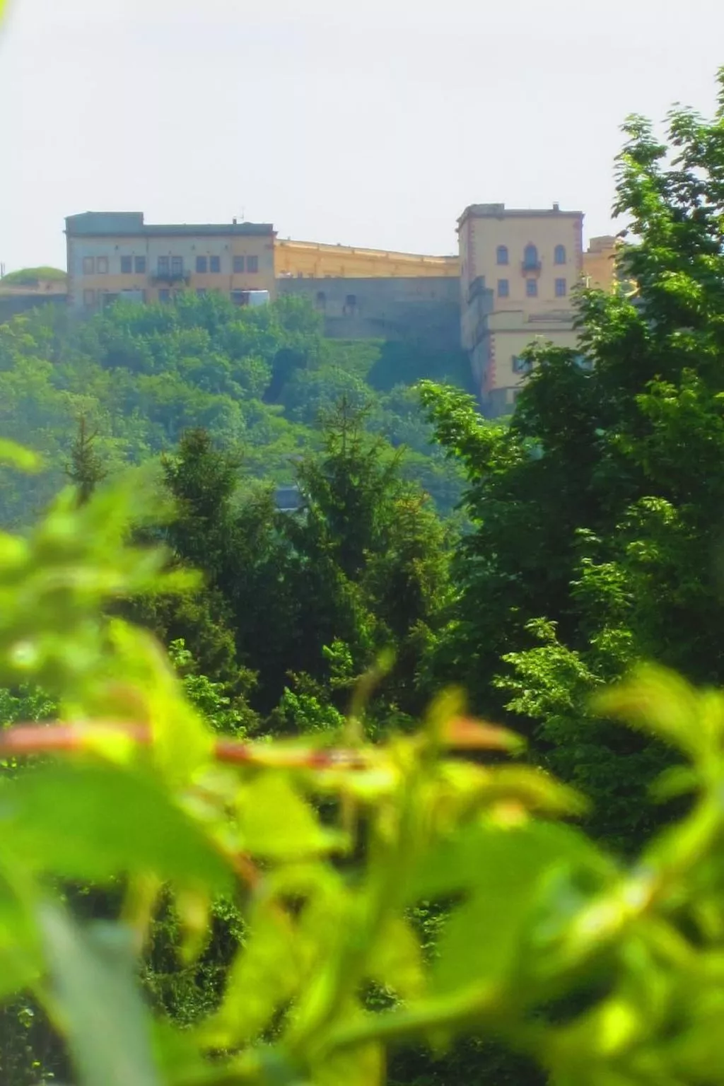 Direkt an Rhein und Mosel-Buiten