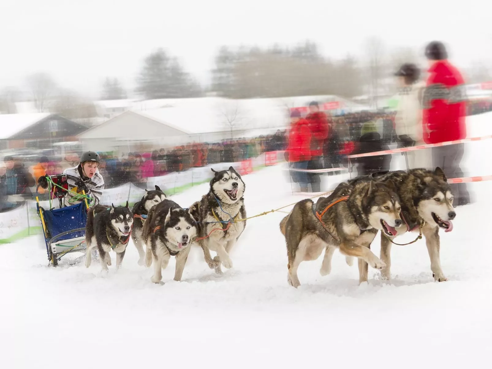 Harz-Haus-Bruns-Image-tags.info