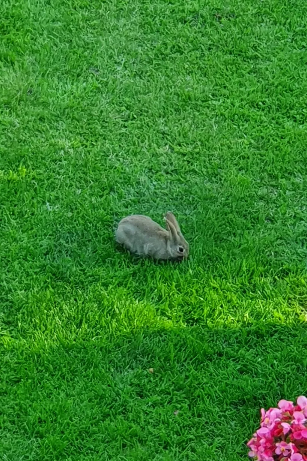 Apartment mit Terrasse am Südstrand-Buiten