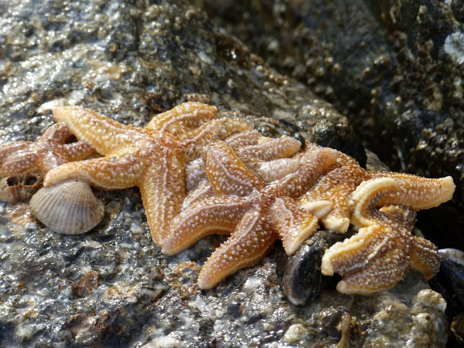 Appartement mit eigenem Parkplatz-Binnen