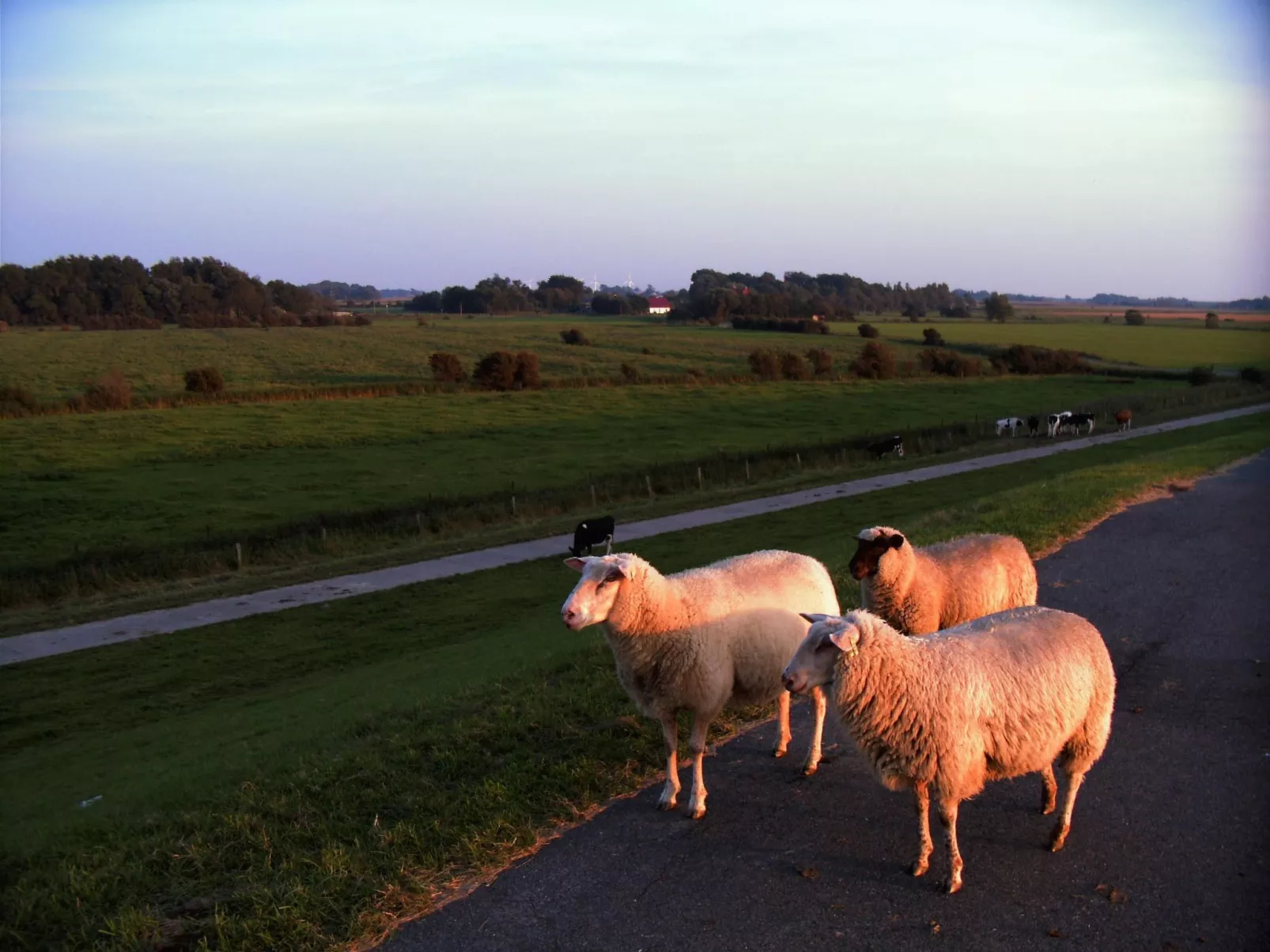Komfortable Ferienwohnung mit großem Garten-Buiten