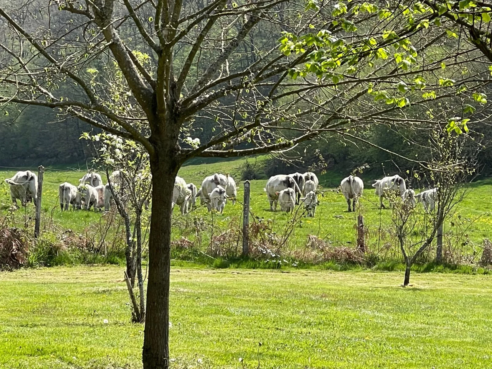 Für 6 Pers. mit eigenem Teich-Buiten