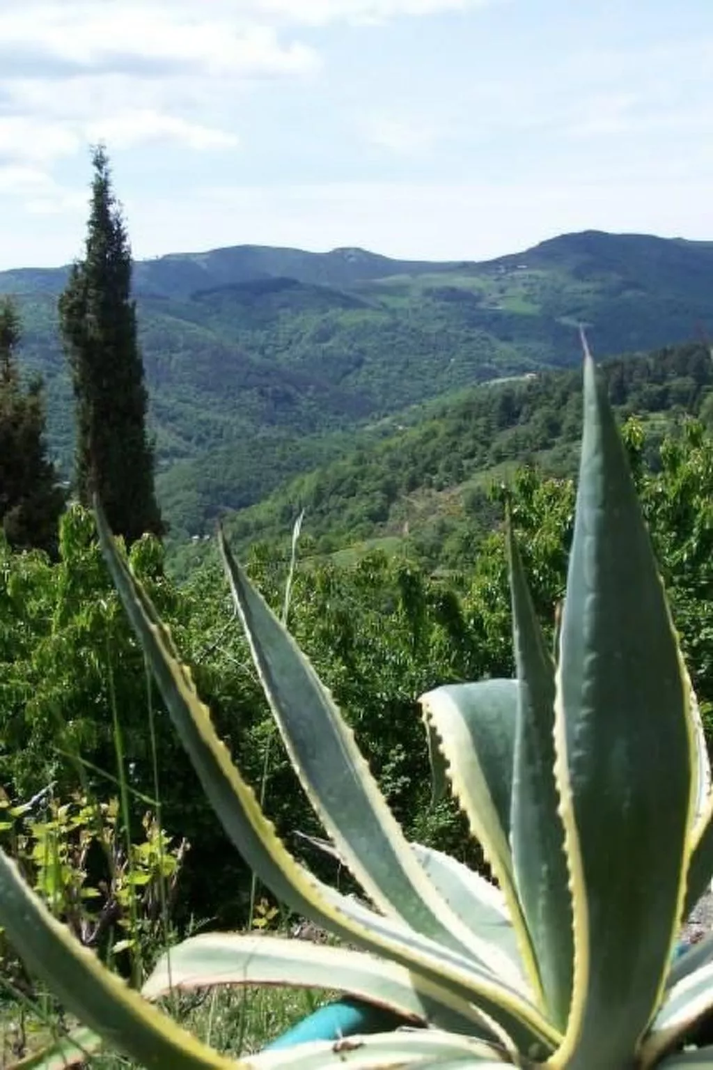 Gîte de Chapelèche Les Genêts-Buiten