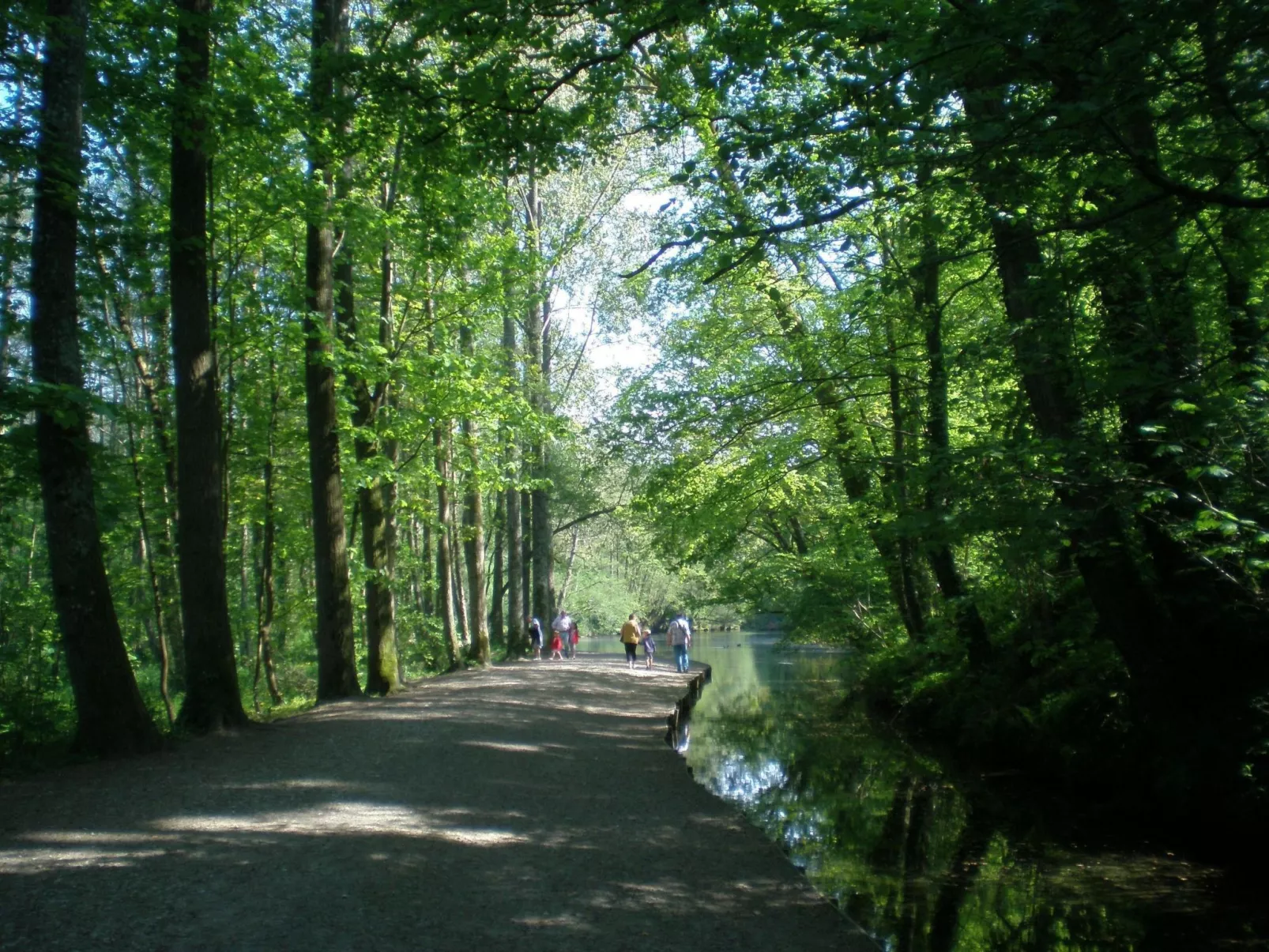 Le Clos du Hêtre-Buiten
