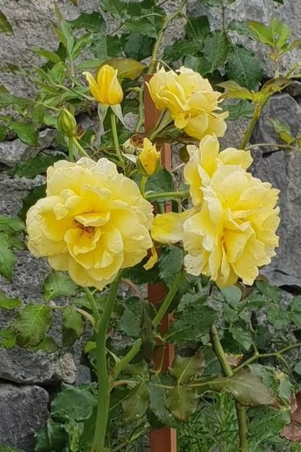 Warmwasser Haus 2-Buiten