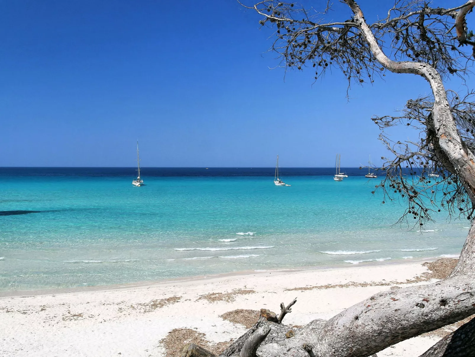 Pont de bateau, Meerblick mit privatem Pool-Omgeving
