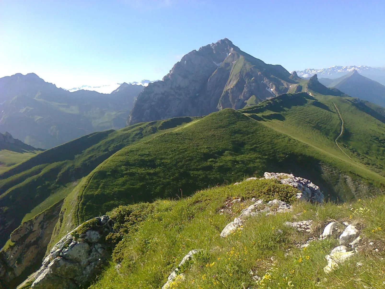 "Au Crêt du Bois" (Auf dem Wald)-Image-tags.info