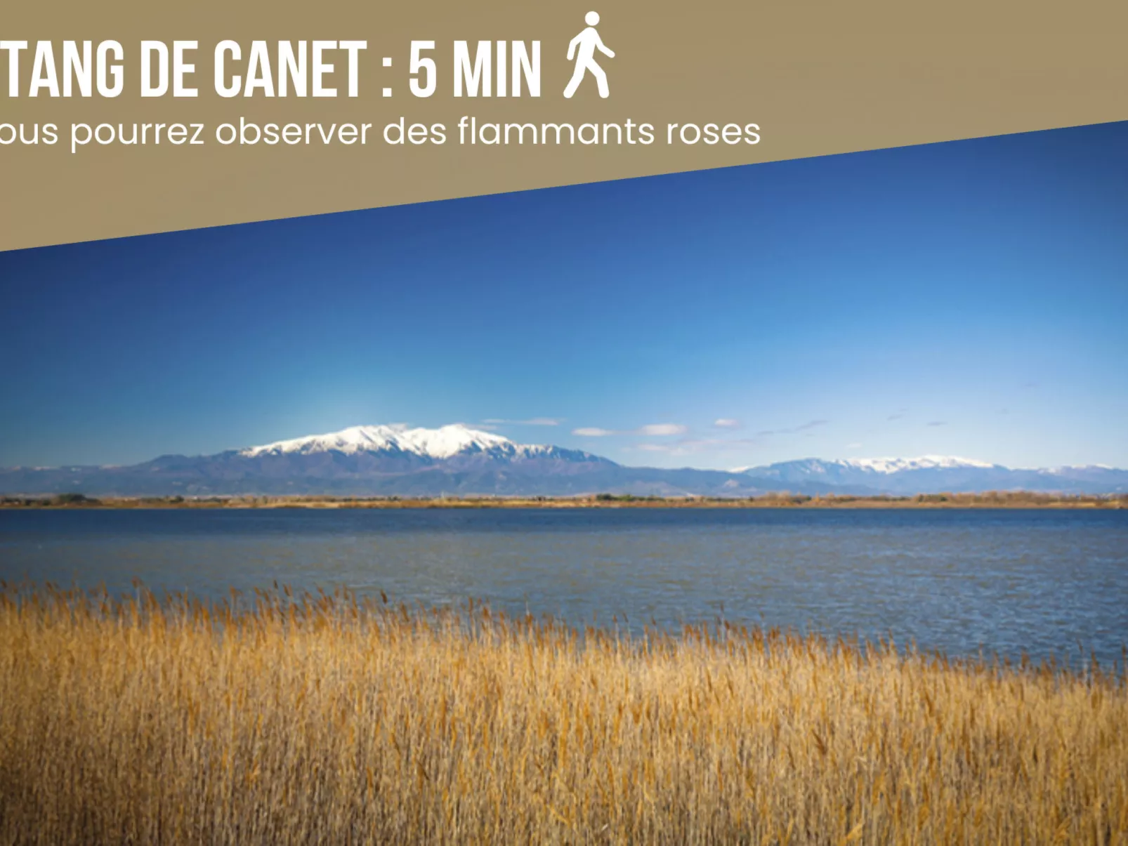 Dreamy Lodge - Genuss, Strand in 100m-Buiten