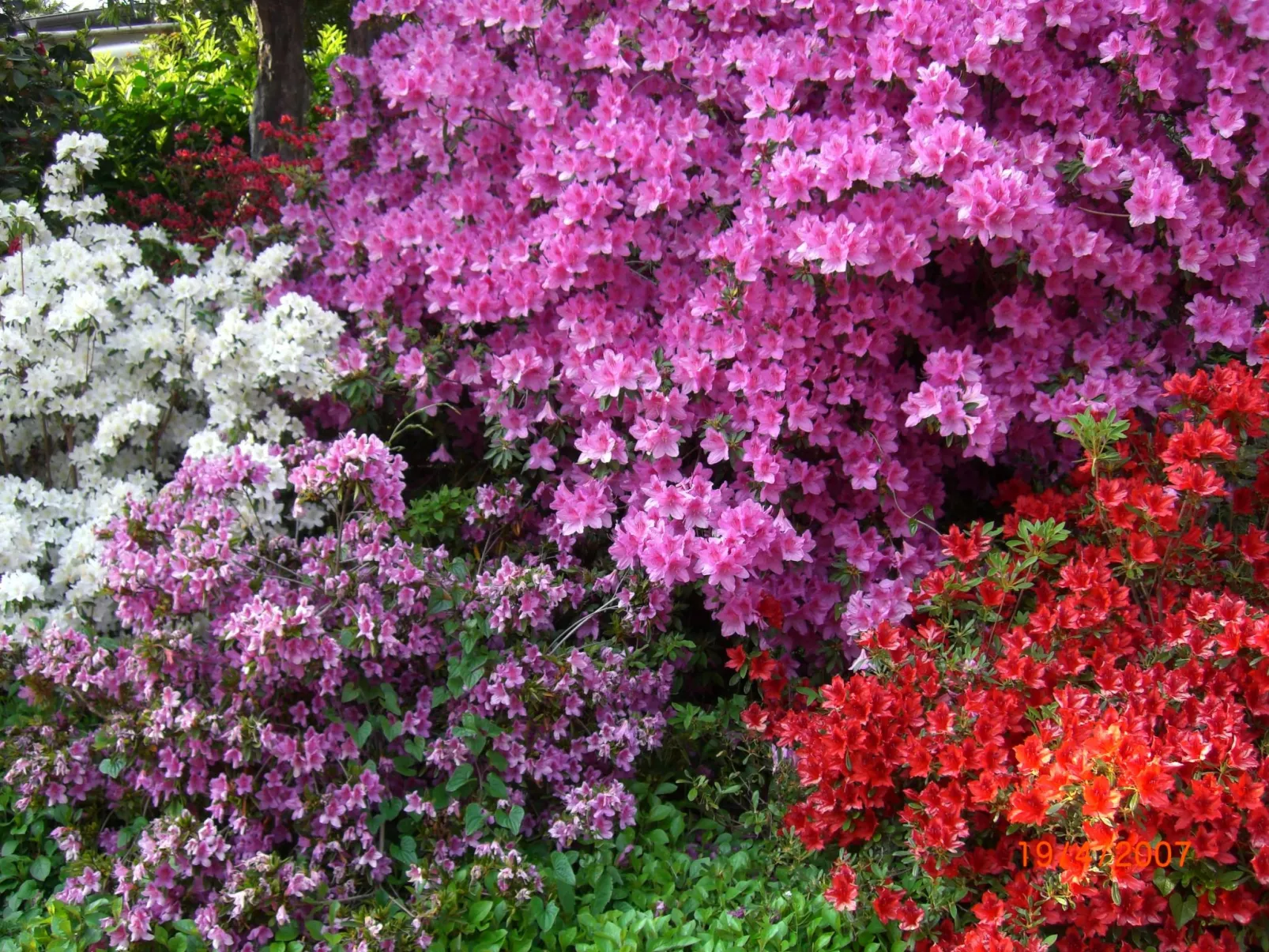 Casa Reduit Terrazza-Buiten