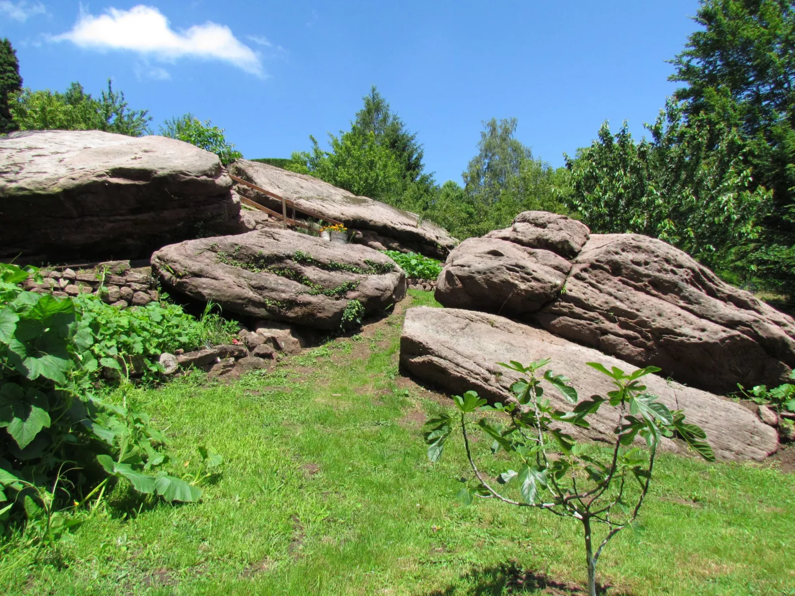 Das Gîte Fleuri mit einer herrlichen Aussicht-Image-tags.info