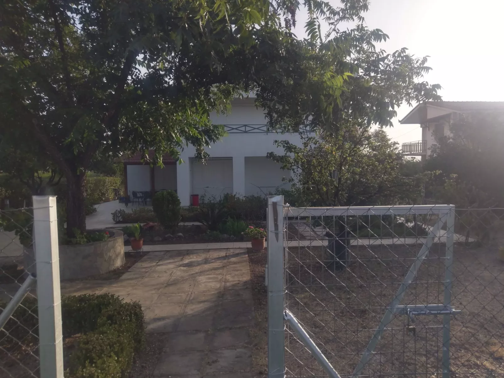 Neben Orangenbaum-Obstgarten-Buiten