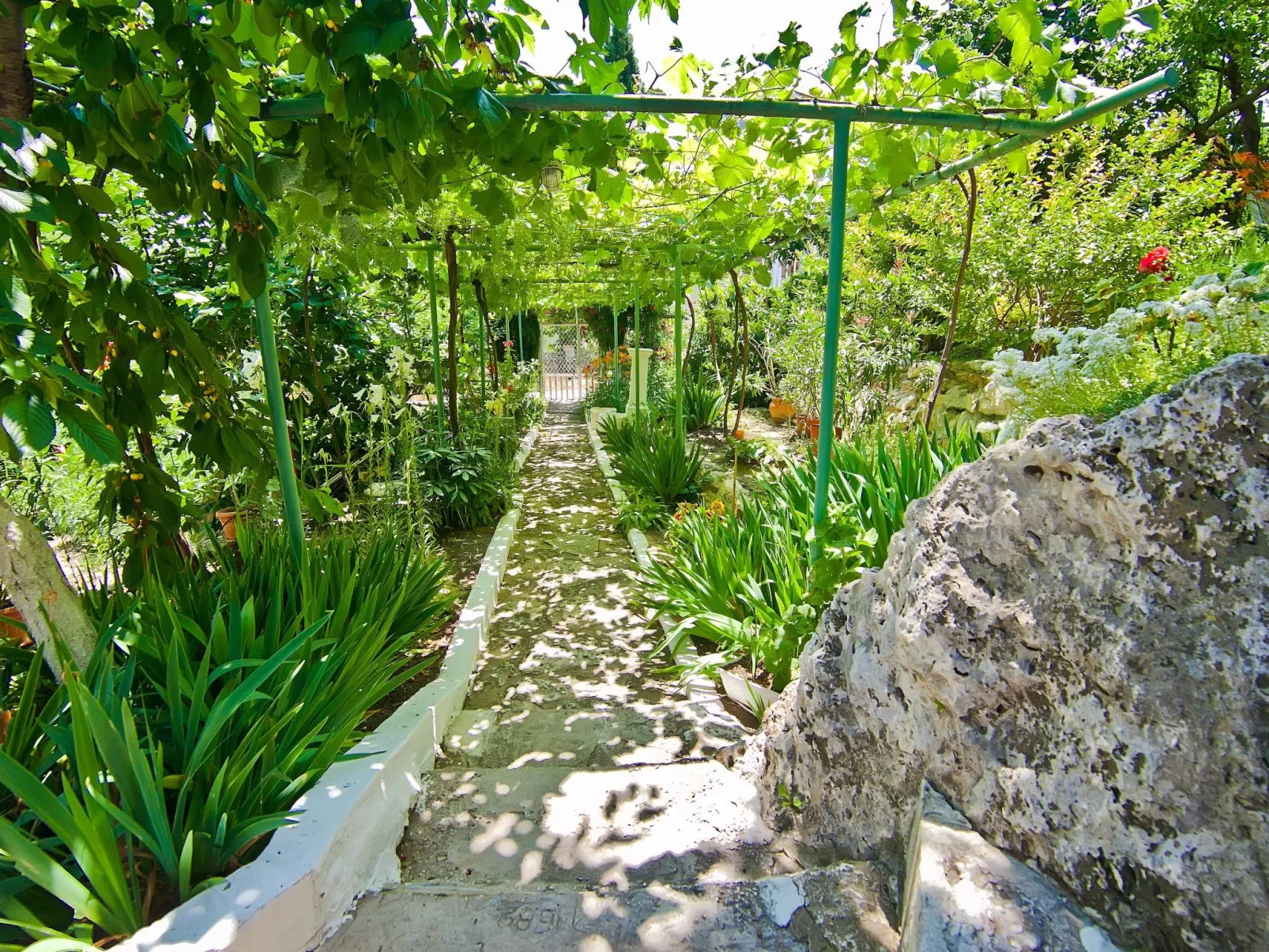 Mit Blick auf das Wasser-Image-tags.info