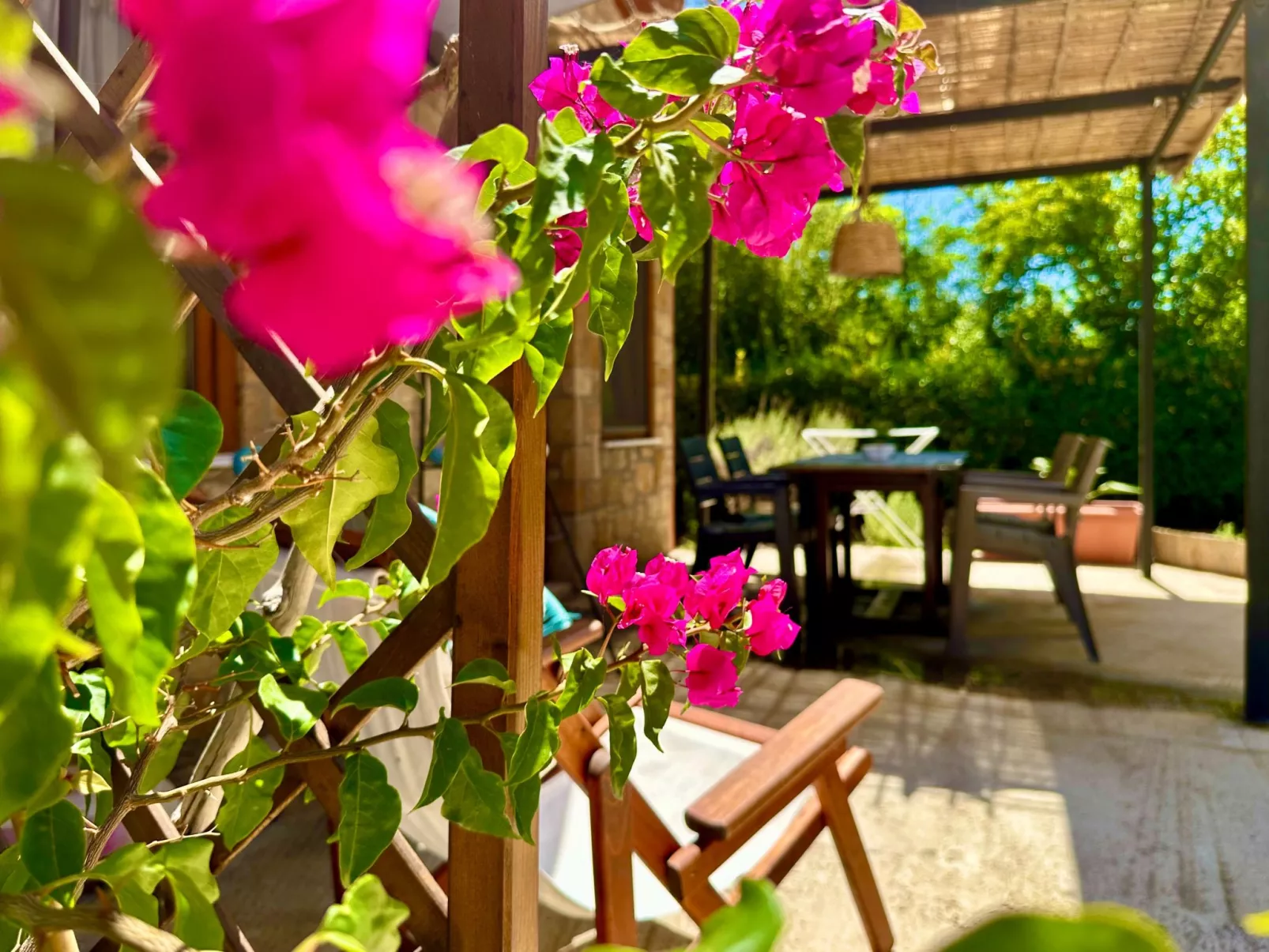 Cottage beachfront-Image-tags.info