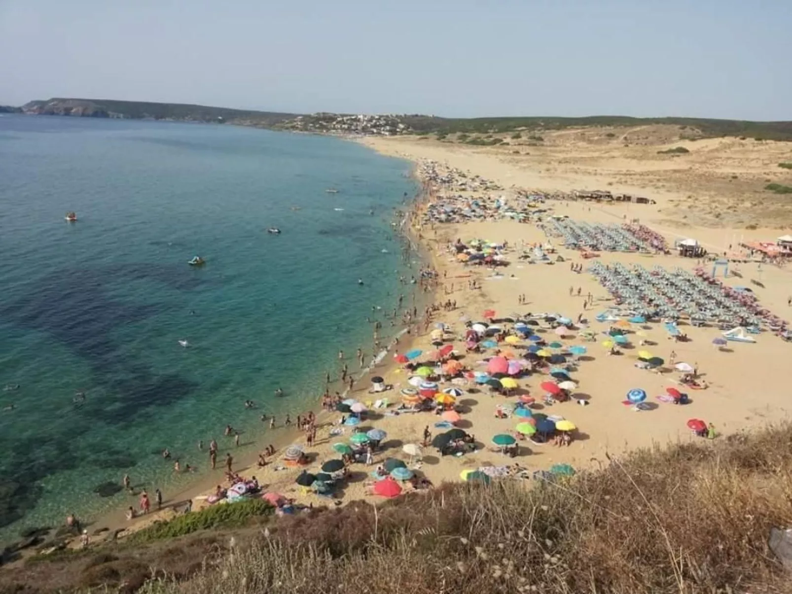 'Miky-Image-tags.info