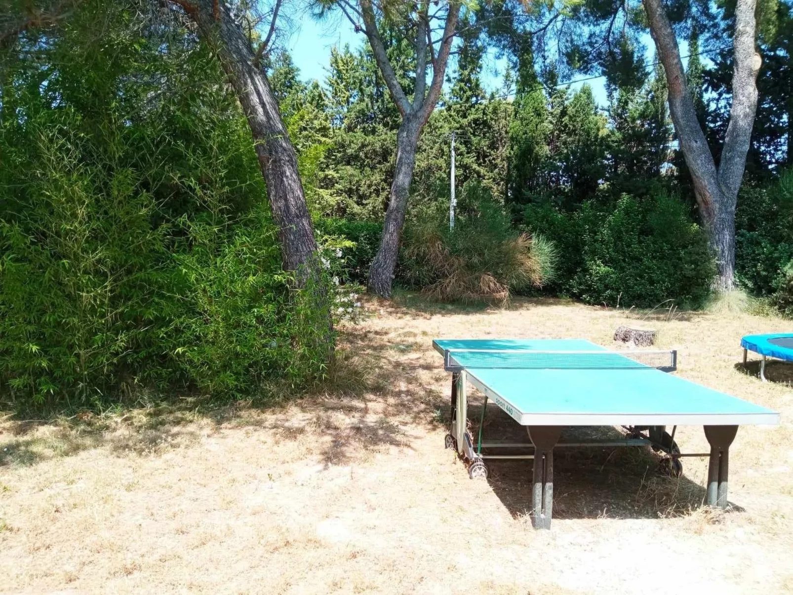 La petite maison sous les pinins-innenpool-Buiten